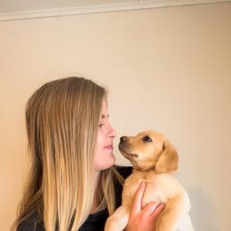 Goldendoodle, Golden Retriever, and Labrador Retriever Puppies from Cornerstone Kennels