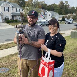 American Bully Puppies from XLRG BULLIES