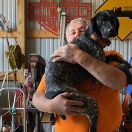 German Shorthaired Pointers from Jennie Henry's German Shorthaired Pointers