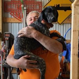 German Shorthaired Pointers from Jennie Henry's German Shorthaired Pointers