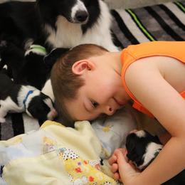Border Collie Puppies from Top Notch Border Collies