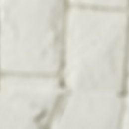 Labrador Retriever Puppies from Eternity Labradors