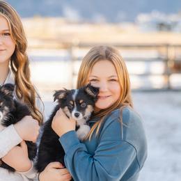 Aussiedoodles, Australian Shepherds, Miniature Australian Shepherds, and Toy Australian Shepherds from Firefly Horse Co Wellness Retreat Center