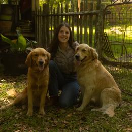 Golden Retriever All Grown Up from Magnolia Farm