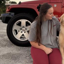 Golden Retrievers from Revival Retrievers