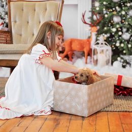 Cockapoo, Cocker Spaniel, and Goldendoodle Puppies from Robbin's Treasures