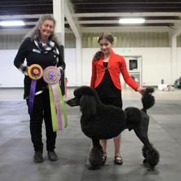 Poodle Puppies from Lacy Lane Poodles