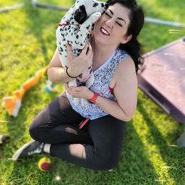 Dalmatian Puppies from Rainier DALS LUA Dalmatians