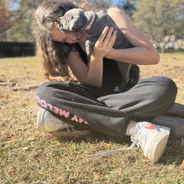Cane Corso Puppies from Azelees Cane Corso