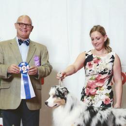 Australian Shepherds from ChaHar's Australian Shepherds