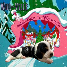 Who's-Ville - Black white and brown female Basset Hound puppy in Dingess, West Virginia from Tuckers' Howling Hounds