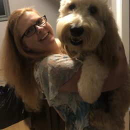 Goldendoodle All Grown Up from Doodles by Piper