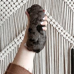 Tinsel - Merle female Bernedoodle puppy in Shingle Springs, California from Kindred Oak Goldendoodles