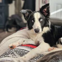 Athena - Sporty Mix