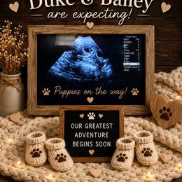 Golden Retriever puppies from McAbee’s Golden Retrievers