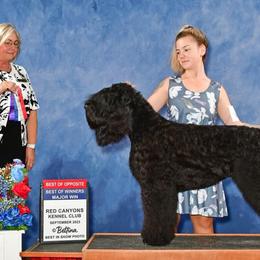 Black Russian Terrier puppies from Bayou Black Russians