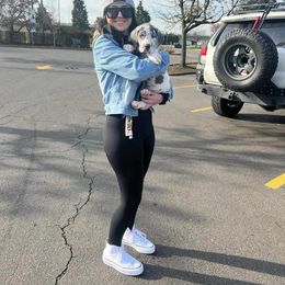 Great Dane Puppies from Phoenix Family Danes