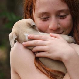 Whippet Puppies from Wise Heart Whippets