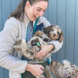 Aussiedoodle Puppies from Gore Doodle Ranch