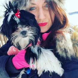 Yorkshire Terrier Puppies from Diamond Yorkshire Terriers