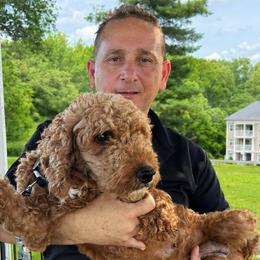 Lisa - Goldendoodle