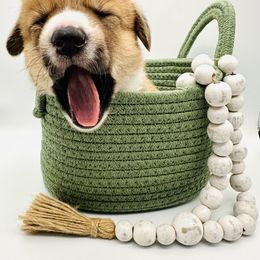 Pembroke Welsh Corgi Puppies from West Coast Corgi