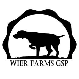 Boy - Liver roan male German Shorthaired Pointer puppy in Moyie Springs, Idaho from Wier Farms GSP