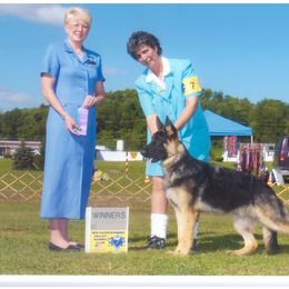 German Shepherd Puppies from Brandiwyne's German Shepherds