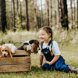 Basset Hound Puppies from Greene Acres Bassets