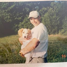 English Setter Puppies from English Setter Farms
