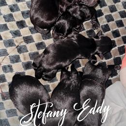 6 - Black female Scottish Terrier puppy in Mancelona, Michigan from Stefany Farm of Happiness