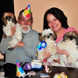 Shih Tzu Puppies from Willow Lane Shih Tzus