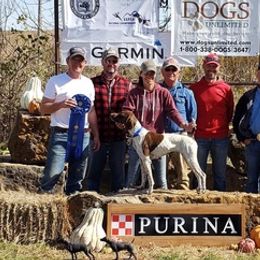 German Shorthaired Pointers from Riverside Kennels