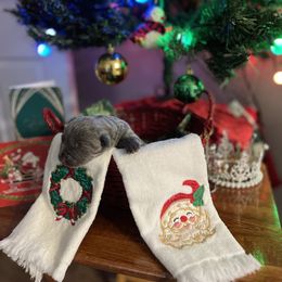 Cane Corso and Lowchen Puppies from High Royal Kennel