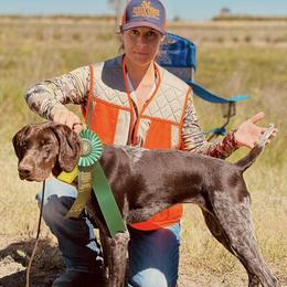 Australian Cattle Dogs, Cairn Terriers, and German Shorthaired Pointers from Macushla Kennel
