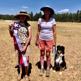 Zest - Australian Shepherd