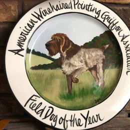 Mr. Boy - Brown and gray Wirehaired Pointing Griffon puppy in Belgrade, Montana from Griffons Out West
