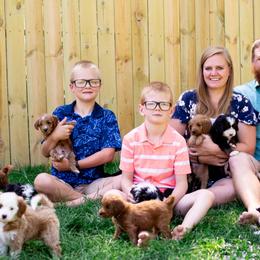 Bernedoodles and Goldendoodles from 307 Doodles