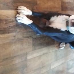 Emma - Great Dane