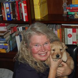 Golden Retriever Puppies from Rainbow Goldens