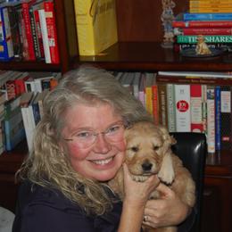 Golden Retriever Puppies from Rainbow Goldens