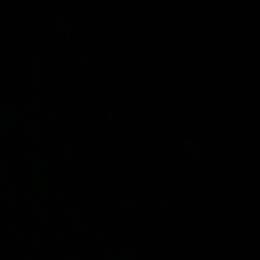 Lucky - Black and tan male Dachshund puppy in Live Oak, Florida from Johnson’s Weiner Farm