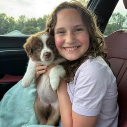 Alice - Red tri-color female Australian Shepherd puppy in Star City, Arkansas from Blush & Lace Aussie Co.