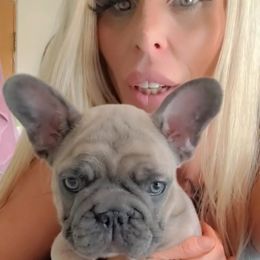 French Bulldog Puppies from 4 Leaf Frenchies