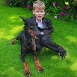 Trinity - Doberman Pinscher