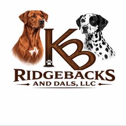 Dalmatian puppies from KB Ridgebacks and Dals, LLC
