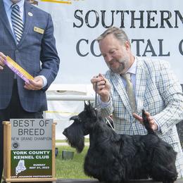 Scottish Terrier Puppies from Scottish Terriers at The Rock