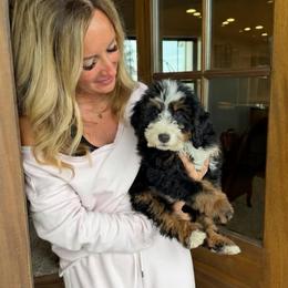 Buster - Tri-color male Bernedoodle puppy in Yuba City, California from Ranch House Doodles