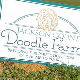 Aussiedoodles, Bernedoodles, Cockapoos, and Goldendoodles from Jackson County Doodles