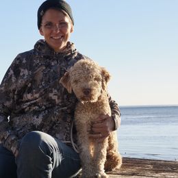 Tuck - Lagotto Romagnolo